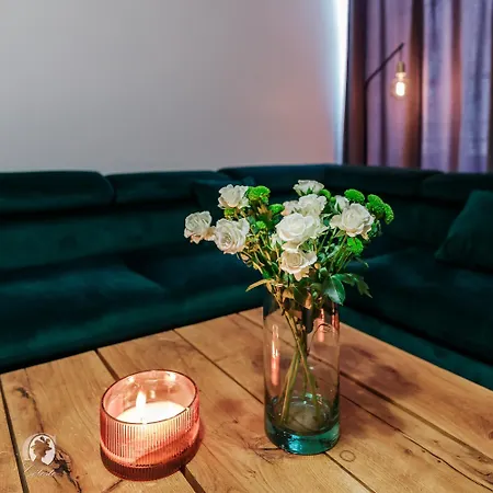 Emeraude - L'elegance Verte Du Vieux Apartment