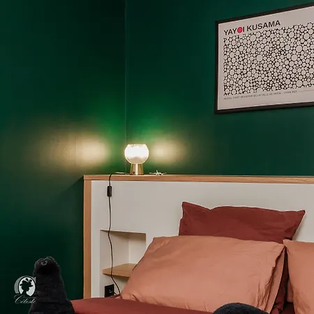 Emeraude - L'elegance Verte Du Vieux Apartment *